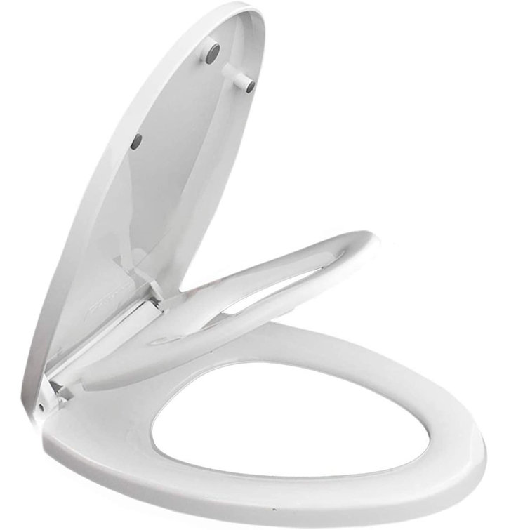 Umien Potty Training Elongated Toilet Seat & Reviews Wayfair